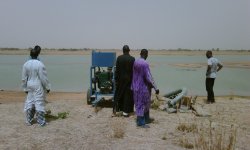 Niger1.jpg