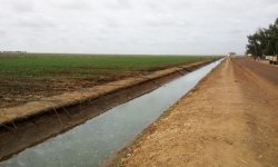 irrigation-grandes-cultures-canne-yy-sucre.jpg